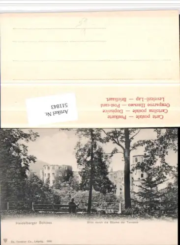 511843,Heidelberg Schloss Blick durch die Bäume der Terrasse pub Dr. Trenkler 9508