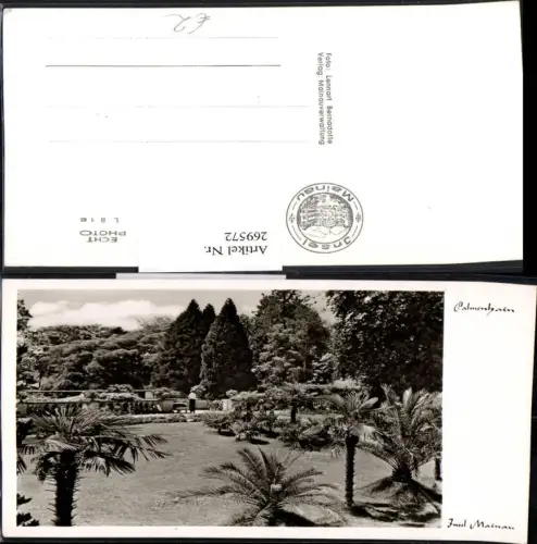 269572,Insel Mainau i. Bodensee Palmenhain