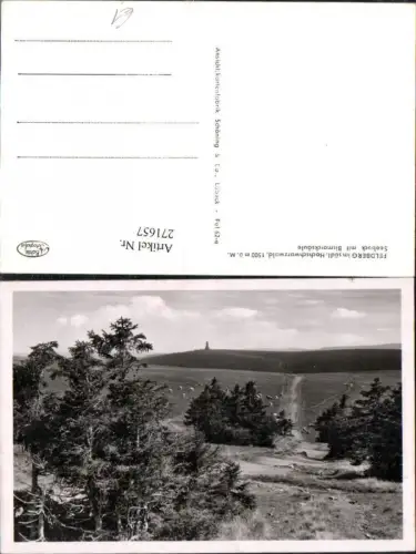 271657,Feldberg im Schwarzwald Seebuck m. Bismarck-Säule
