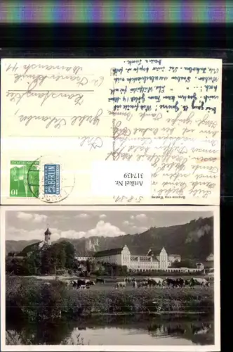 317439,Beuron Erzabtei Kloster Kirche Rinder Kühe