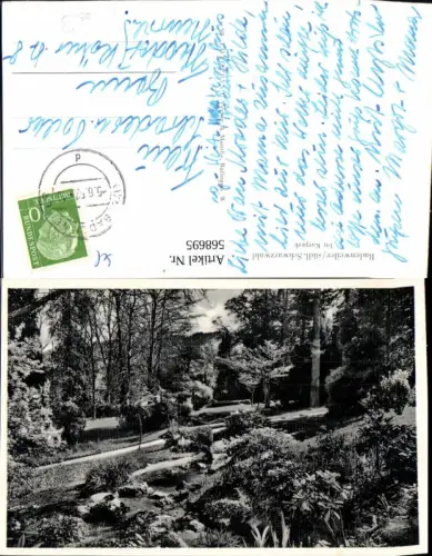 568695,Badenweiler Schwarzwald Kurpark