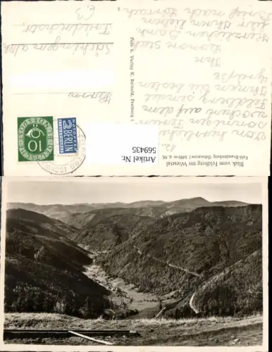 569435,Blick v. Feldberg ins Wiesetal Fahl-Brandenberg Todtnau