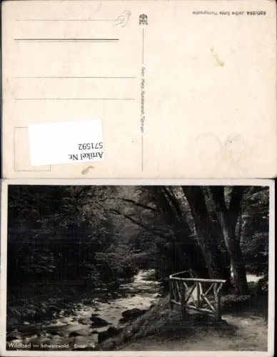 571592,Foto Ak Wildbad i. Schwarzwald Enzpartie Bad Wildbad