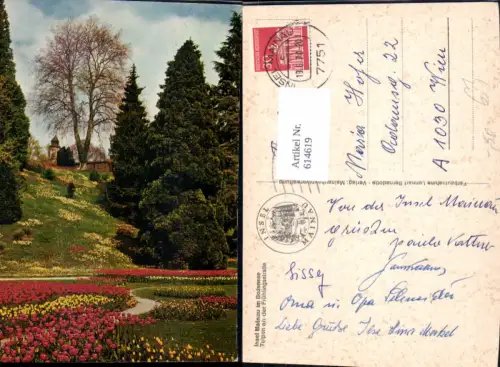 614619,Insel Mainau i. Bodensee Tulpen Blumen Konstanz