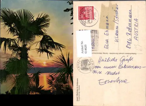 614620,Insel Mainau i. Bodensee Tropischer Zauber Palmen Konstanz