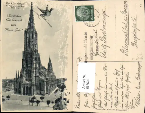 617626,Ulm a. Donau Münster Schwalbe Vogel Neujahr