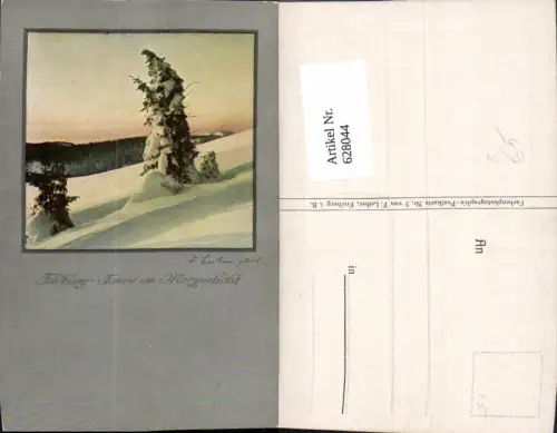 628044,Künstler Ak F. Leiber Feldberg Feldbergtanne i. Morgenlicht Winterlandschaft