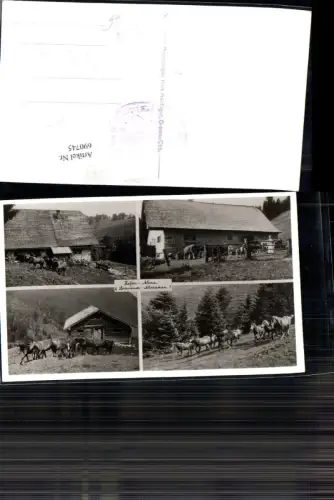 690745 Foto-AK Hefter Alm b. Grassau Chiemgau Chiemsee Grassauer Almen