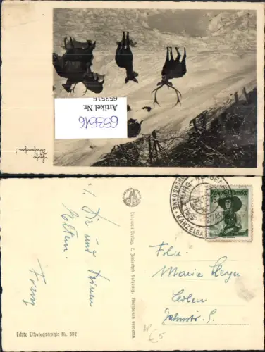 653516,Bahnpost Salzburg Klagenfurt Zug 278 n. Leoben Hirsch Hirsche Wild