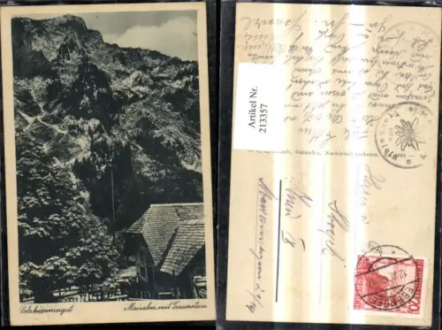 213357,Salzkammergut Mairalm m. Traunstein
