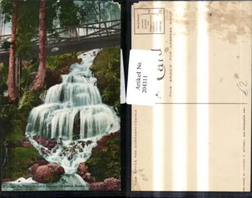 204311,California On the Trail Shasta Springs Wasserfall Brücke
