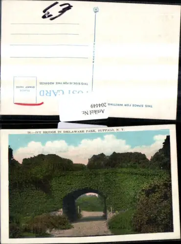 204449,New York Buffalo Ivy Bridge in Delaware Park Brücke