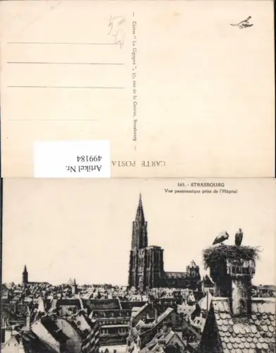 499184,Strasbourg Straßburg Vue panoramique prise de l Hopital Kirche Dom
