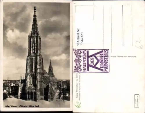 567329,Foto Ak Ulm a. d. Donau Münster