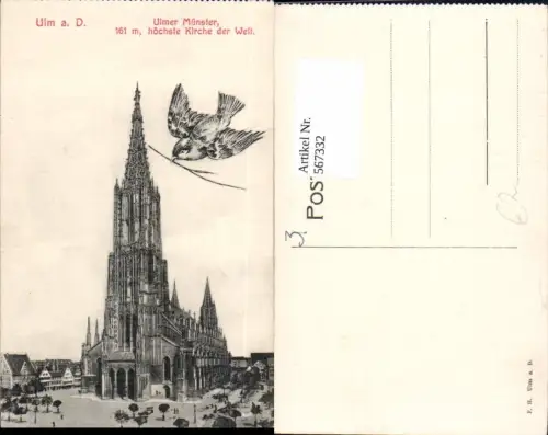 567332,Fotomontage m. Taube Ulm a. d. Donau Münster