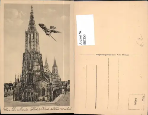 567356,Fotomontage m. Taube Ulm a. d. Donau Münster