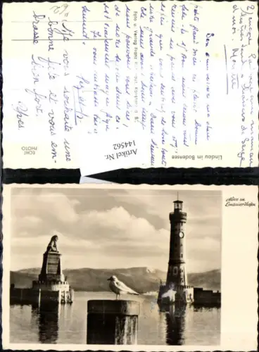 144562,Foto Ak Leuchtturm Lindau a. Bodensee Möve i. Lindauer Hafen Löwendenkmal