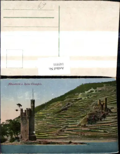 145951,Mäuseturm u. Ruine Ehrenfels