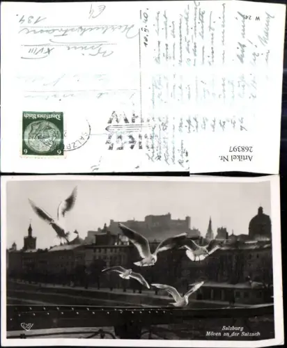 268397,Salzburg Festung Hohensalzburg Möven a. d. Salzach i. Vordergrund