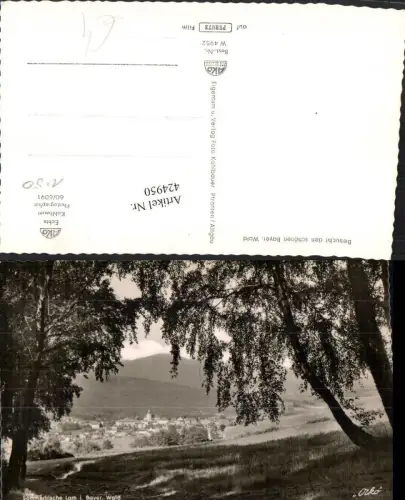 424950,Lam im Bayerischen Wald Teilansicht