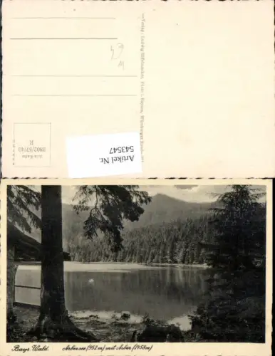 543547,Bayerischer Wald Arbersee Arber b. Lam LK Cham