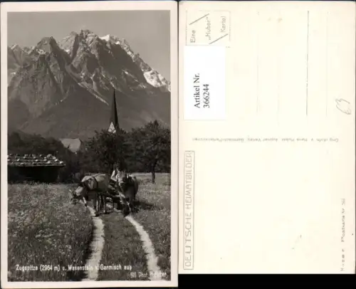 366244,Garmisch Zugspitze u. Waxenstein Bergkulisse Kuhgespann pub H. Huber 592