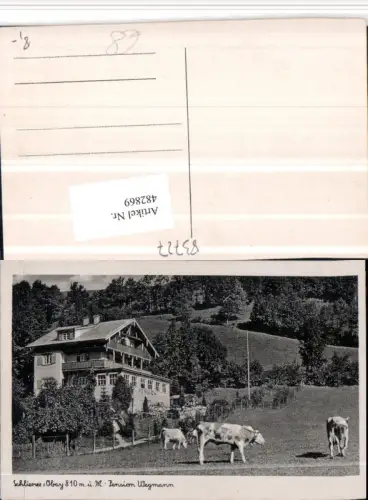 482869,Schliersee Pension Wegmann Rinder Kühe