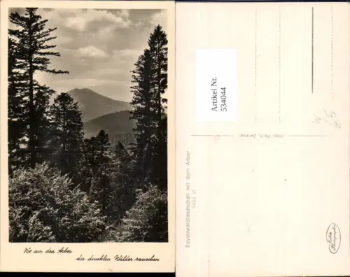 534044,Arber bei Bayerisch Eisenstein LK Regen