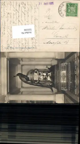 555330,tolle Foto-AK Schloss Herrenchiemsee Chiemsee Pfau Pfauenvase LK Rosenheim