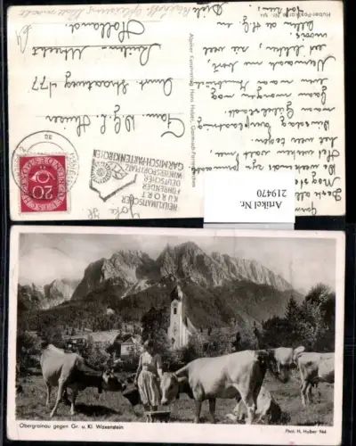 219470,Obergrainau geg. Gr. u. Kl. Waxenstein Kühe