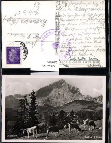 220966,Alpspitze b. Garmisch Partenkirchen Bergkulisse Kühe