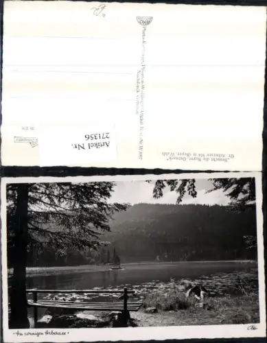 271356,Großer Arbersee See b. Bayerisch Eisenstein Partie