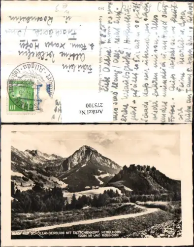 275700,Blick auf Schöllangerburg m. Entschenkopf Nebelhorn u. Rubihorn Bergkulisse b. Oberstdorf