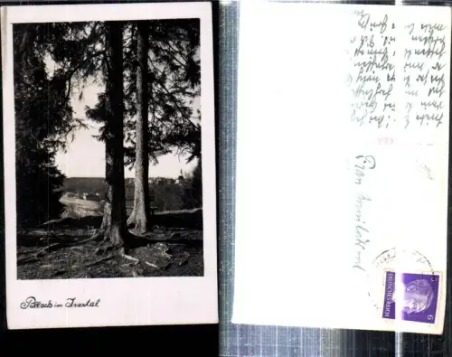 308404,Pullach im Isartal Teilansicht Bäume