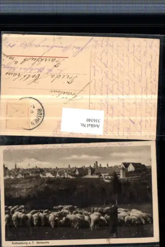 316340,Rothenburg ob d. Tauber Totale Schafherde Schafe Hirte Schäfer
