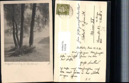 318338,Passau Umgebung Morgenstimmung an d. Donau