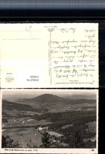 318650,Blick von d. Straße Lam-Bayerisch Eisenstein nach Lam