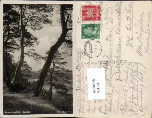 534154,Stimmungsbild i. Isartal Bäume Pullach im Isartal München Umgebung