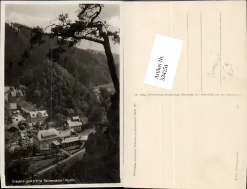534251,Falkenstein Bayern Brauereigaststätte Brauerei