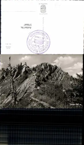 576647,Foto Ak Stuiben Immenstadt im Allgäu