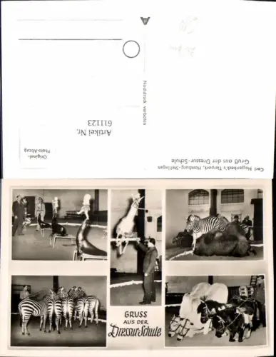 611123,Hamburg Tierpark Stellingen Dressur Schule Zebra Kamel