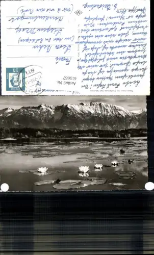 615667,Foto Ak Seerosen i. Staffelsee b. Murnau am Staffelsee