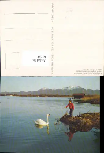 637388,Chiemsee m. Hochgern u. Hochfelln Kind m. Schwan
