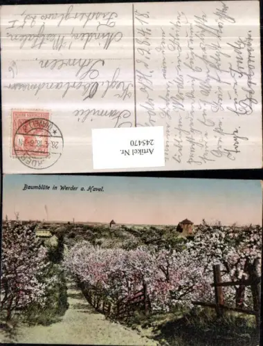 245470,Baumblüte in Werder an d. Havel Straßenansicht