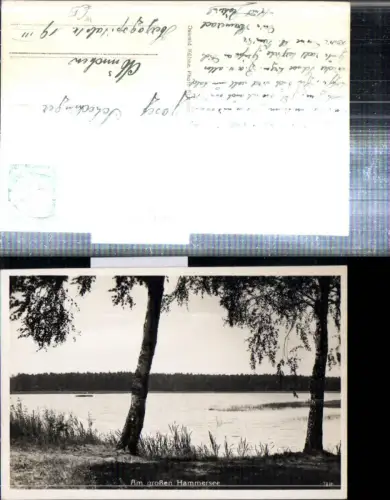 307931,Hammersee See b. Kohlfurt b. Beeskow Partie
