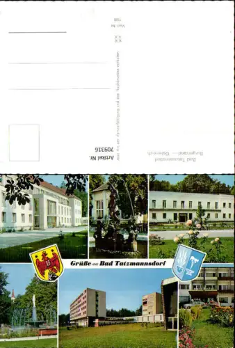 709316 Mehrbild AK Bad Tatzmannsdorf Kurhaus Brunnen Parkhotel