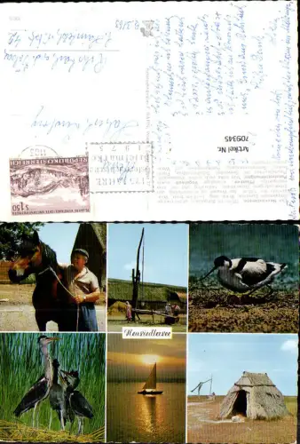 709345 Mehrbild AK Neusiedlersee Pferd Pusztabrunnen Seewinkel Fischreiher