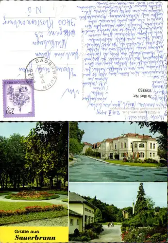 709350 Mehrbild AK Sauerbrunn Ansichten Rathaus Park
