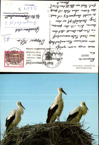 709357 Bad Tatzmannsdorf Storchennest Storch Störche