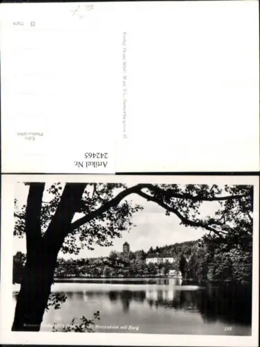 242465,Litschau Herrenteich m. Burg Partie